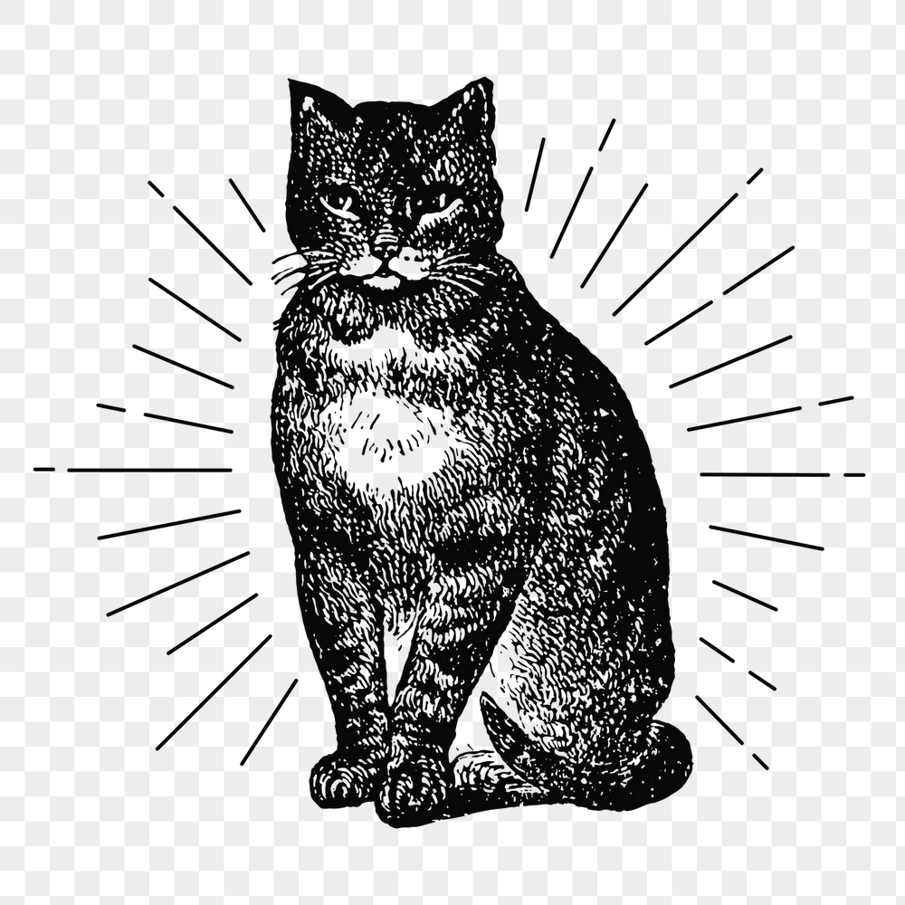 Cat png sticker, vintage animal | Free PNG Illustration - rawpixel
