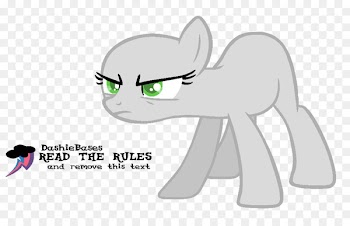 Cat Pony Horse Dog Mammal - cat 
