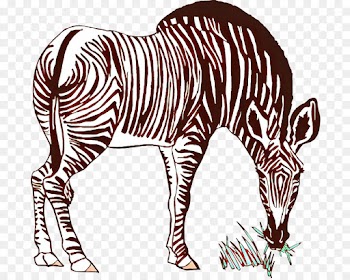 Cat, Quagga, Mammal, Vertebrate, Zebra PNG
