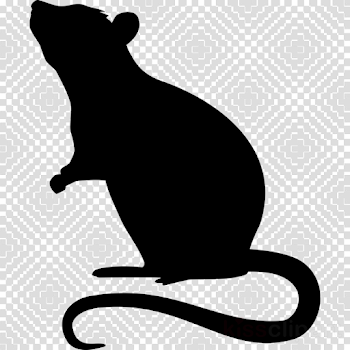 Cat, Rat, Silhouette, transparent png image & clipart free download