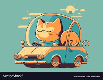cat riding a car