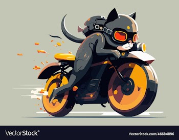 cat riding a motorcycle