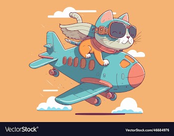 cat riding a plane