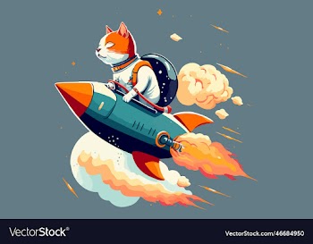 cat riding a rocket