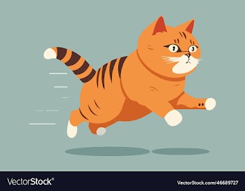 cat running