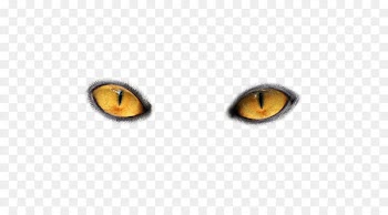 Cat's eye Light - Eyes PNG image 