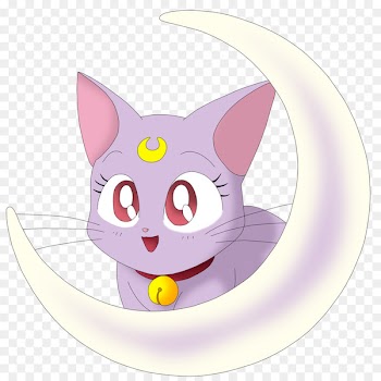 Cat Sailor Moon Chibiusa Luna Sailor Mercury - sailor moon 