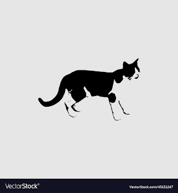cat silhouette creative design