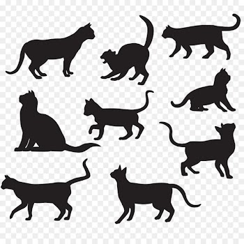 Cat Silhouette Poster Illustration - Pet cat silhouette vector material 