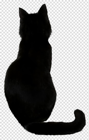 Cat silhouette , Savannah cat Black cat Cat food Kitten, Witch Cat transparent background PNG clipart