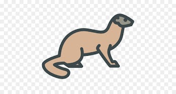 Cat Stoat Ferret Otter Least weasel - cat 