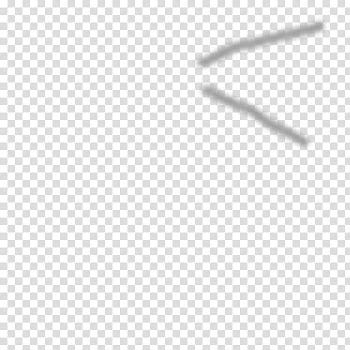 CAT, two gray lines transparent background PNG clipart