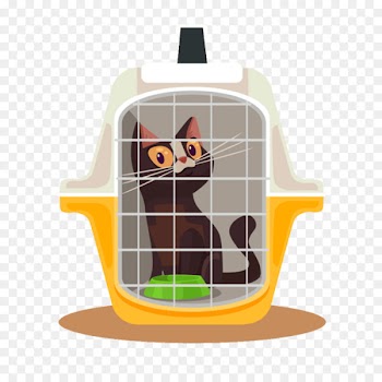 Cat Vector graphics Illustration Stock photography Royalty-free - cat 