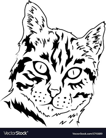  					Cat vector image														