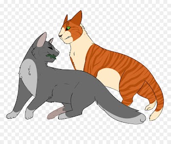 Cat, Warriors, Firestar, Vertebrate, Mammal PNG