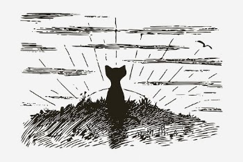 Cat watching sunrise, vintage animal | Free Photo - rawpixel