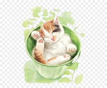 Cat Whiskers Kitten Colored pencil Drawing - Color lead cat 