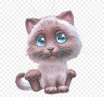 cat whiskers small to medium-sized cats nose kitten