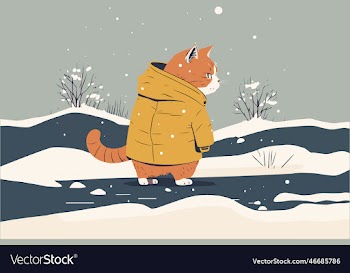 cat winter