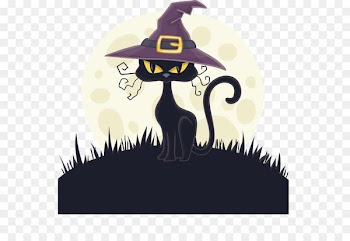 Cat Witch hat Witch hat - Black cat with Witch Hat 