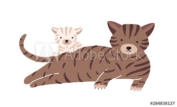 Cat with cub isolated on white background