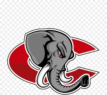 Catania Elephants Third Division Indian elephant Mad Bulls Barletta - baloney flag 