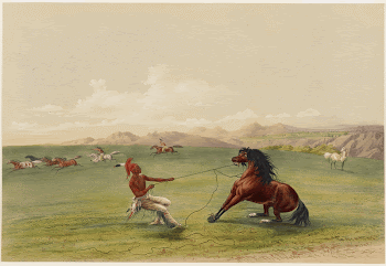 Catching the Wild Horse. Original | Free Photo - rawpixel