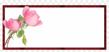 Categories - - Garden Roses