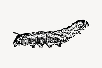 Caterpillar clipart, insect illustration vector. | Free Vector Illustration - rawpixel