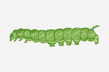 Caterpillar clipart, insect vintage illustration. | Free Photo - rawpixel