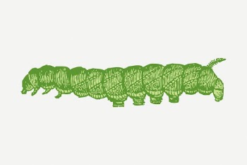 Caterpillar sticker, insect vintage illustration | Free PSD - rawpixel