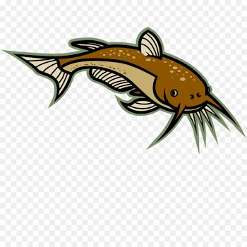 Catfish Clip art - Catfish Cliparts 