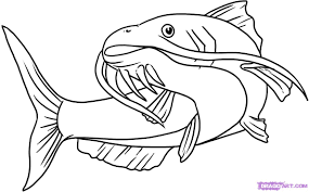 Catfish clipart outline, Catfish outline Transparent FREE for ...