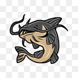 Catfish PNG - Channel Catfish, Catfish Vector, Blue Catfish, Fried ...