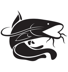Catfish Vector Images (over 830)