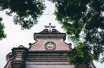 Cathedral Surrounded by Trees