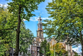 Cathedral Surrounded With Trees