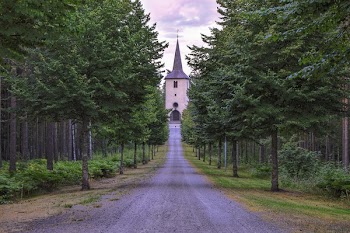Cathedral With Tress Along the Street
