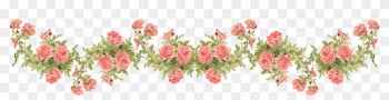 Catherine Klein Peach Roses - Rose Border Transparent Background