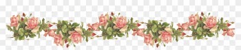 Catherine Klein Pink Roses Digital Elements Wings Of - Transparent Background Roses Border