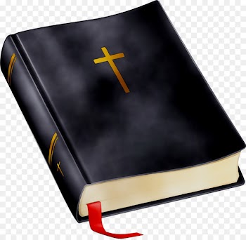 Catholic Bible New International Version Novum testamentum Graece Scofield Reference Bible -  