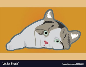 catnap