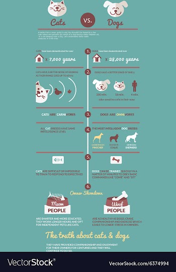 Cats and dogs infographic vector image