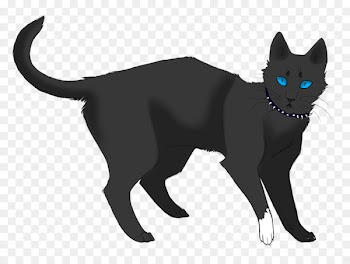 Cats of the Clans Warriors Drawing ThunderClan - twilight background 