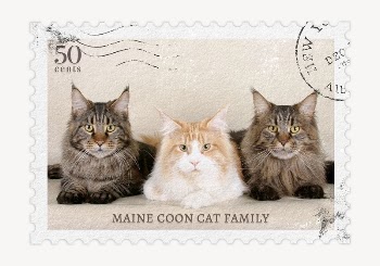 Cats postage stamp, animal collage | Free PSD - rawpixel