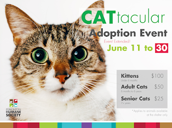 CATTACULAR ADOPTION EVENT - Edmonton Humane Society