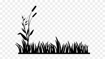 Cattail Clip Art At Clker - Grass Vector Silhouette Png