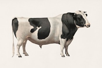 Cattle (1909) aesthetic print. Original | Free Photo - rawpixel
