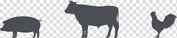 Cattle Chicken as food Pig Meat, chicken transparent background PNG clipart