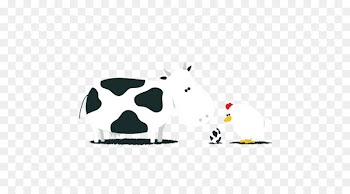 Cattle Chicken or the egg Cordillera Administrative Region Chicken or the egg - Cows and hens look at an egg 
